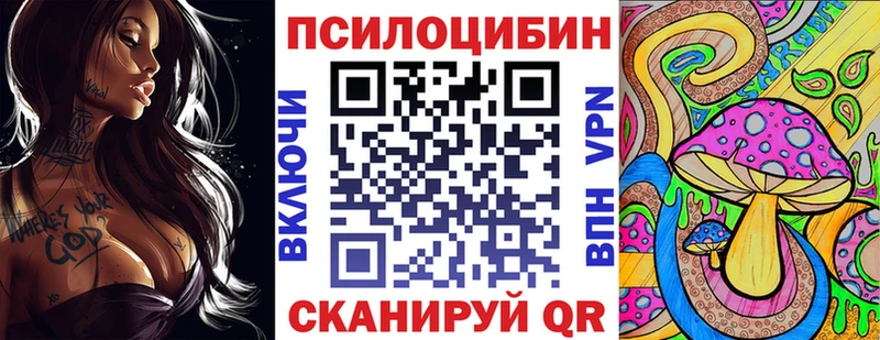 Псилоцибиновые грибы Cubensis  нарко площадка состав  Катайск 