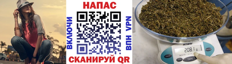 Бошки марихуана OG Kush  как найти закладки  Катайск 
